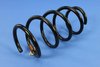 SPRING FRONT COIL - image 3