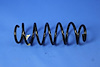 SPRING REAR COIL - image 1