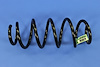 SPRING REAR COIL - image 1