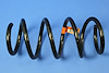 SPRING FRONT COIL - image 1