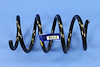 SPRING FRONT COIL - image 1