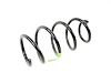 SPRING FRONT COIL - image 1