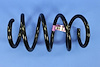 SPRING FRONT COIL - image 1