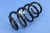 SPRING FRONT COIL - image 3