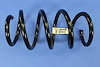 SPRING FRONT COIL - image 1