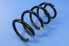 SPRING FRONT COIL - image 3
