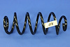 SPRING REAR COIL - image 1