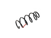 SPRING FRONT COIL - image 1