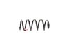 SPRING FRONT COIL - image 4