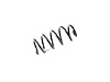 SPRING FRONT COIL - image 1