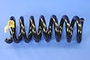 SPRING REAR COIL