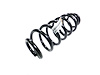 SPRING REAR COIL - image 1