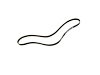 BELT SERPENTINE - image 1