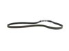 BELT SERPENTINE - image 2