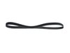 BELT SERPENTINE - image 2