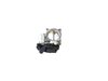 THROTTLE - image 2