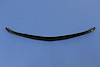 AIR DAM - image 1