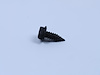 SCREW HEX FLANGE HEAD - image 1