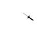 RIVET
