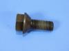 BOLT HEX FLANGE HEAD - image 1