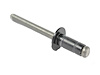 RIVET