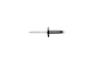 RIVET - image 1