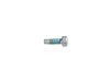 SCREW PAN HEAD LOCKING - image 4
