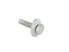 SCREW - image 1