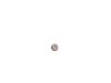 PIN - image 2