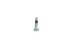 SCREW - image 1