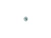 SCREW - image 3