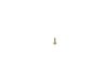 SCREW - image 2