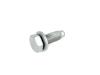 SCREW - image 1