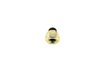 NUT - image 2