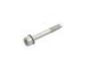 SCREW - image 1