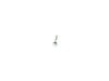 SCREW - image 3