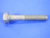 BOLT HEX FLANGE HEAD - image 1