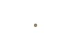 PIN - image 2