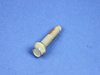 SCREW HEX FLANGE HEAD - image 3