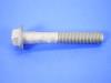 SCREW HEX FLANGE HEAD - image 1