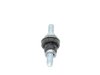 STUD SPECIAL - image 2