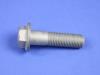 BOLT HEX FLANGE HEAD - image 1