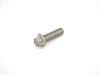 BOLT HEX FLANGE HEAD - image 1