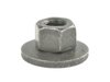 NUT - image 2