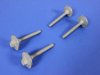 BOLT HEX FLANGE HEAD - image 2