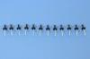 RIVET BLIND BULB - image 1