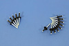 RIVET - image 1