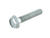 BOLT HEX FLANGE HEAD - image 1