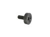 SCREW - image 1