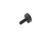 SCREW - image 2